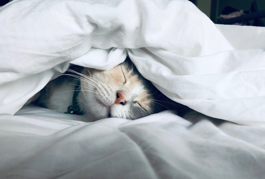 Dormir bien es esencial para perder peso en la dieta keto